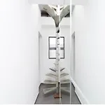 Eterna Primavera אדחה